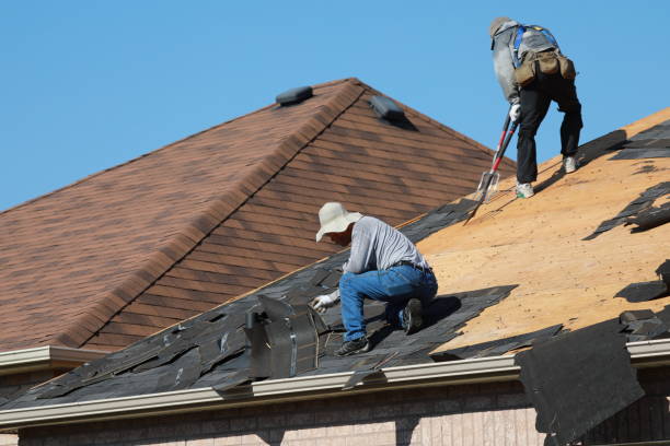 Best Storm Damage Roof Repair  in Dalworthington Gardens, TX
